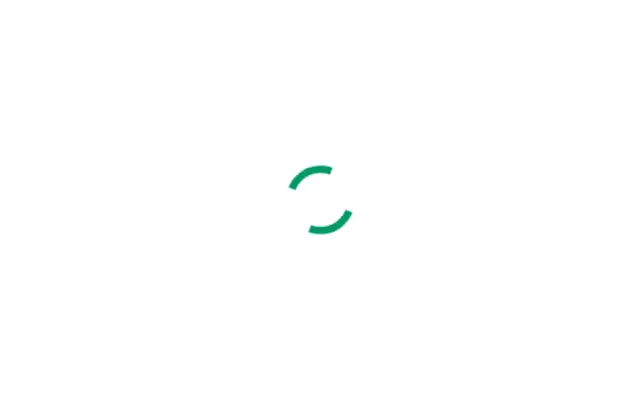 spinner-11